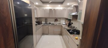 Kitchen in 3 BHK Builder Floor at Unitech South City II, Sector 50 – for Rent