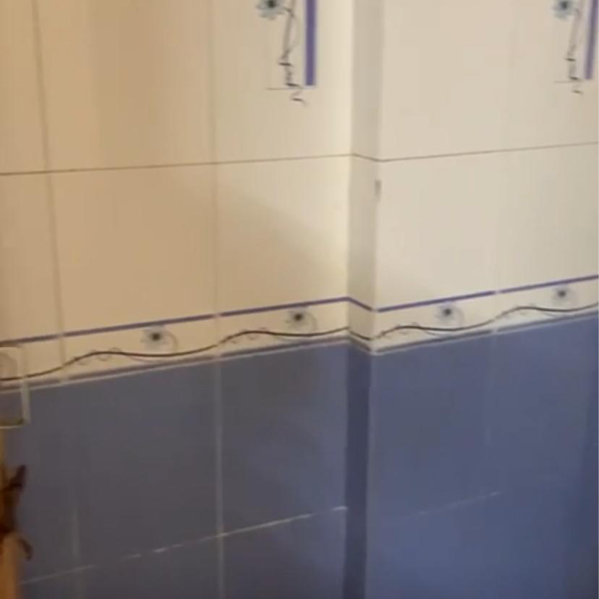 2 BHK Apartment For Rent in Aristo Heights