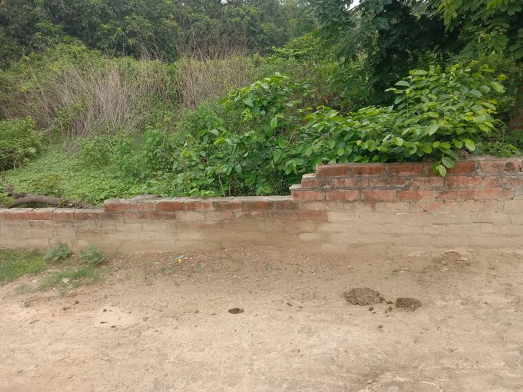 undefined, sarojini nagar  2000 Sq.Ft. Plot In Sarojini Nagar Lucknow 9667475