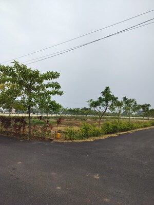 Plot Area in  Plot at Bheemili – for Sale