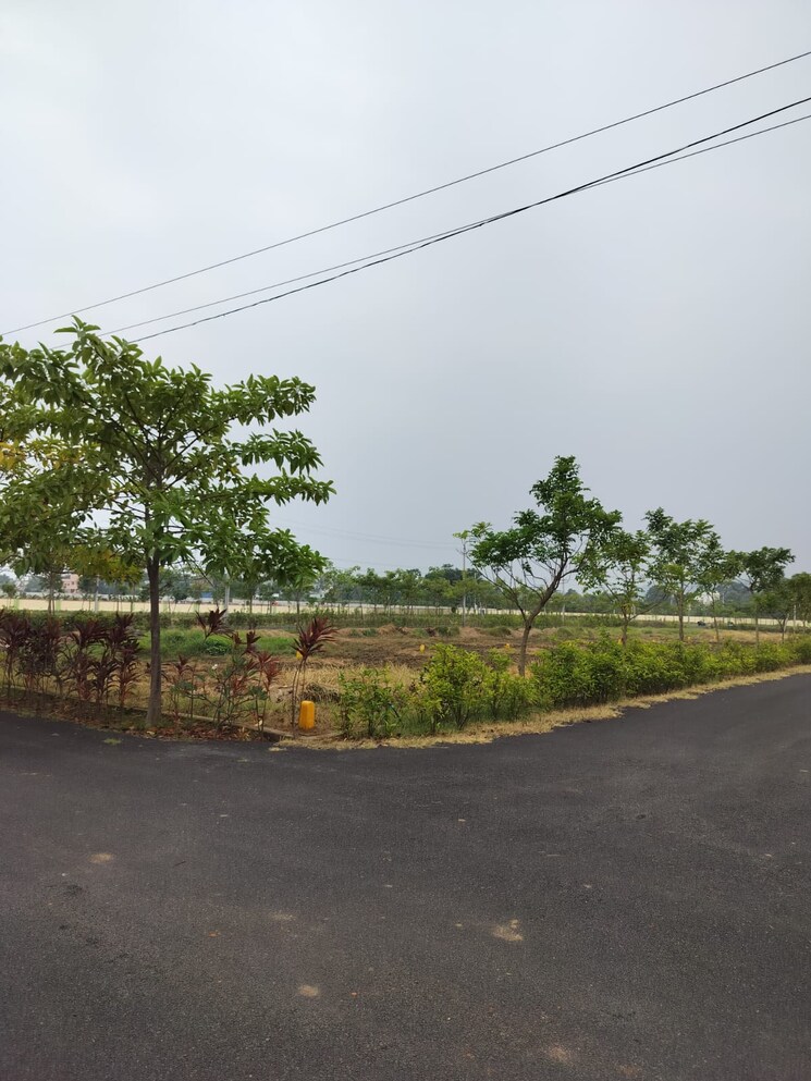undefined, bheemili  200 Sq.Yd. Plot In Bheemili Vizag 9667482
