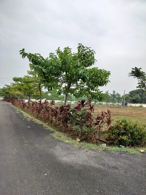  Plot – Garden View at Bheemili - for Sale