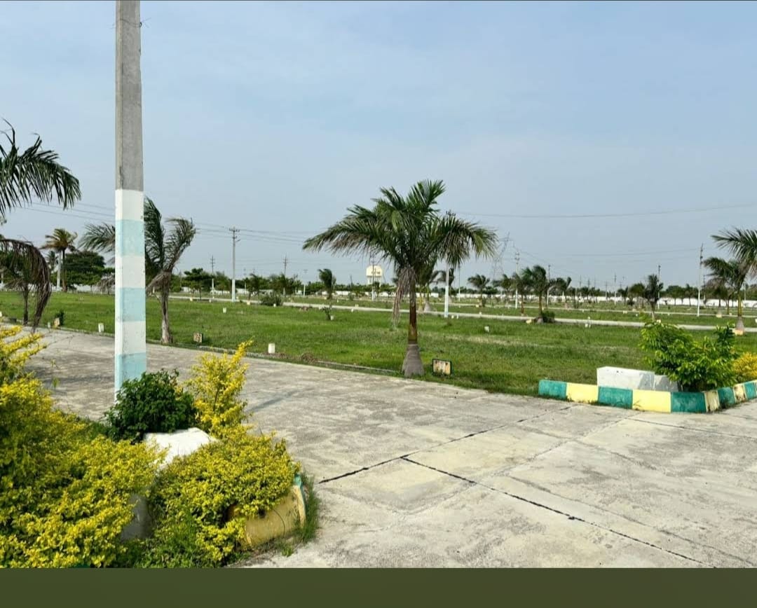 Plot For Sale in Maa Plots 