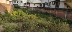 Plot For Sale in Zingabai Takli