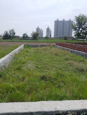  Plot – Garden View at Sector 142 - for Sale