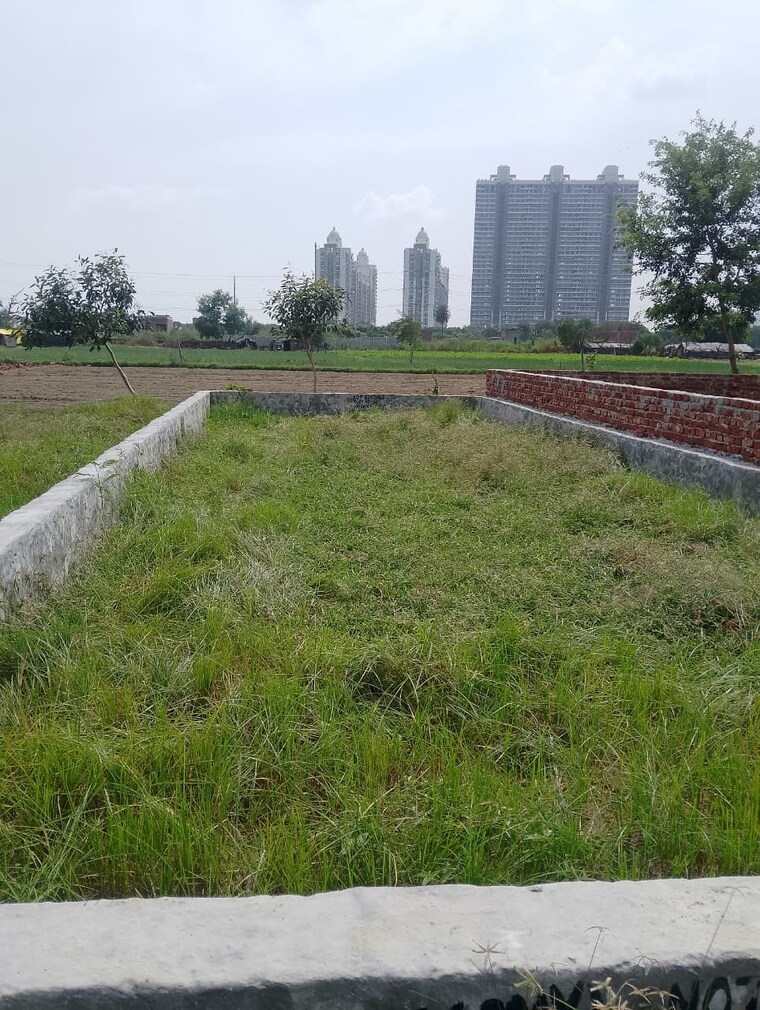 Garden, sector 142  650 Sq.Ft. Plot In Sector 142 Noida 9667983