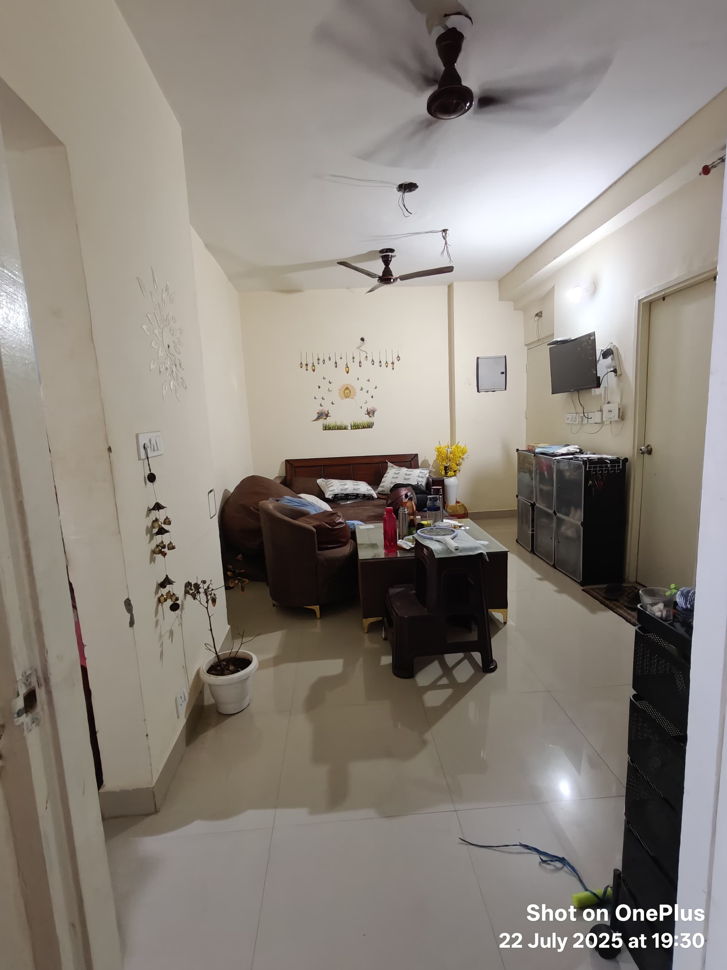 2 BHK + Study Room Apartment For Rent in Newtech La Palacia