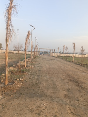 Plot Area in  Plot at Dadasiya – for Sale