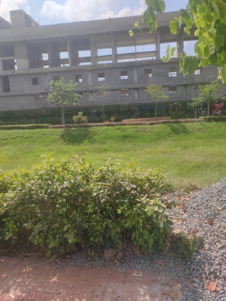 Plot For Sale in Sector 75