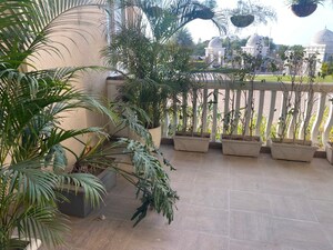 2 BHK Apartment – Exterior View View at Omaxe The Resort, South Mullanpur - for Sale