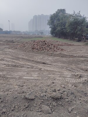 Plot Area in  Plot at Sector 150 – for Sale