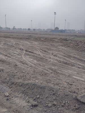 Plot Area in  Plot at Sector 150 – for Sale