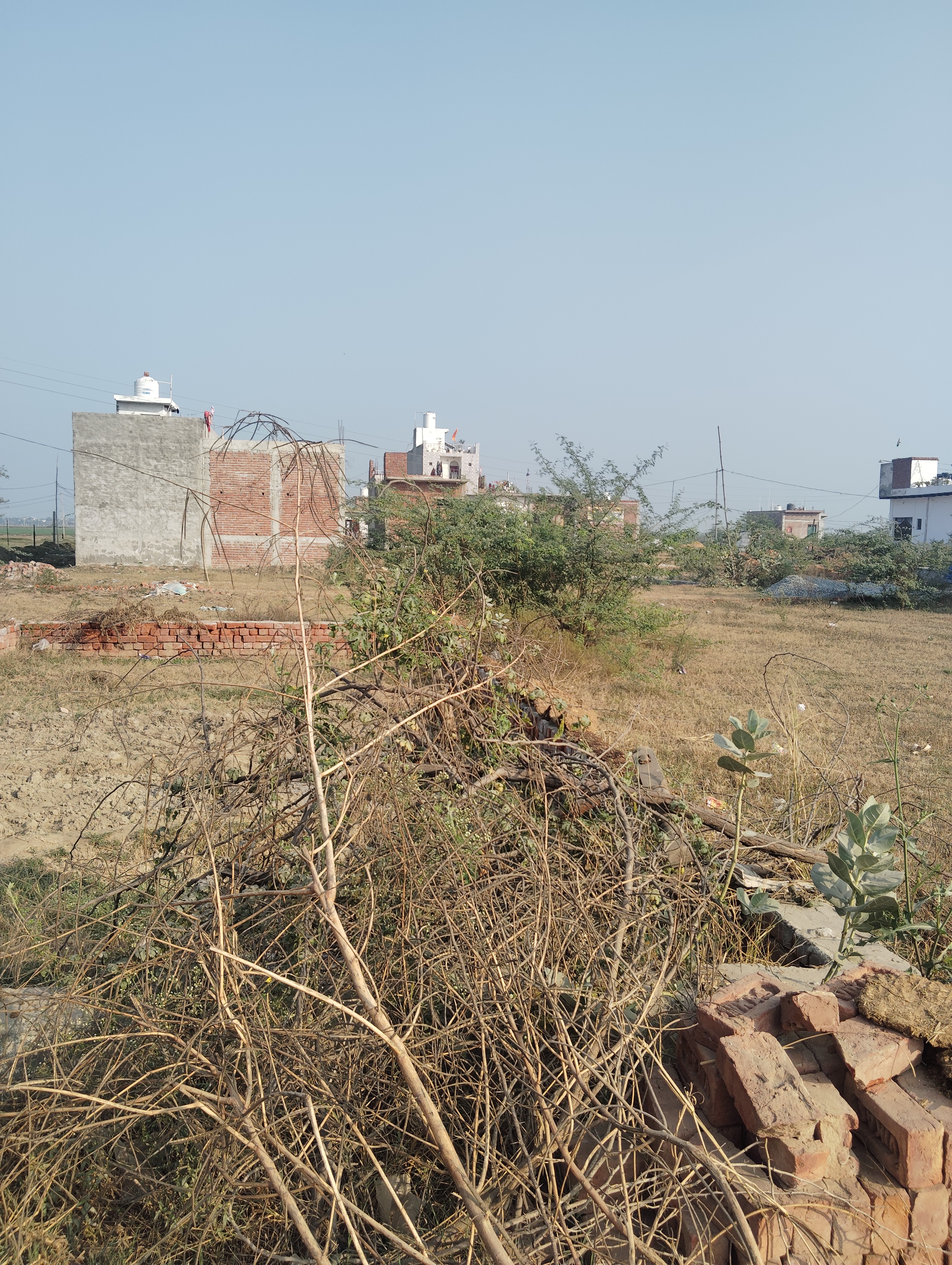 Plot For Sale in Sector 150