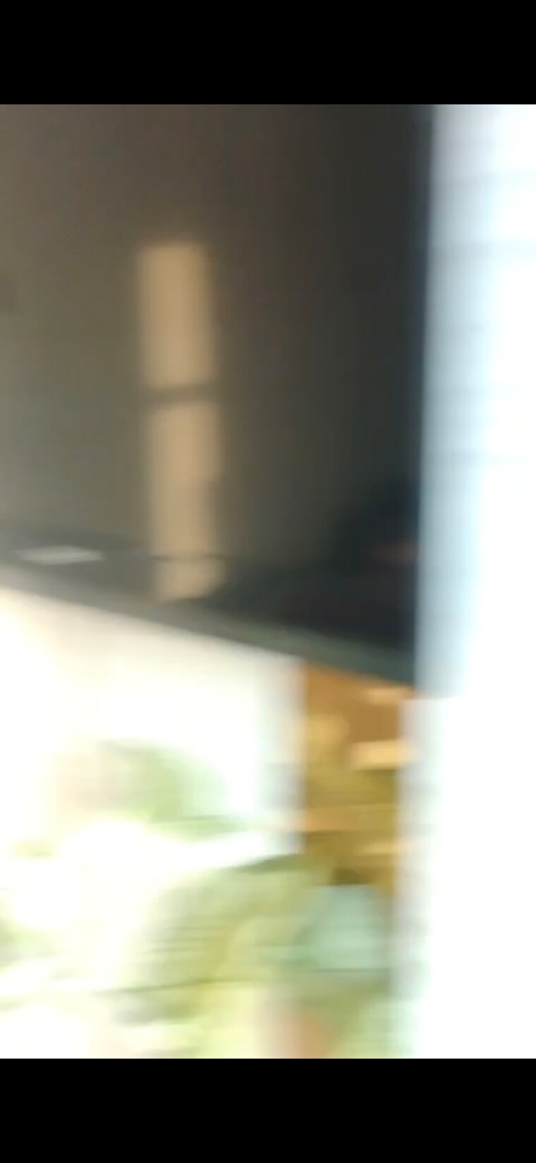 Living Room, puri-pp-city-centre 3.5 Bedroom 150 Sq.Yd. Builder Floor In Pitampura Delhi 9668845