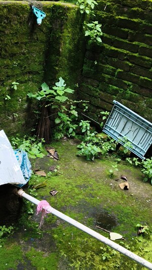 4 BHK Independent House – Garden View at Bajra - for Sale