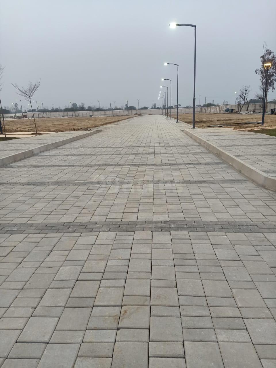 Plot For Sale in Sector 81