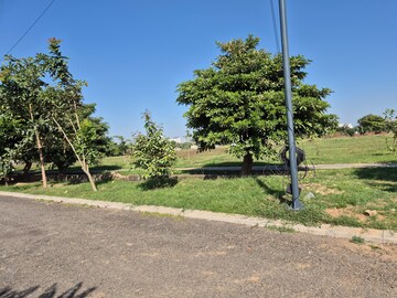  Plot For Sale in Altus Prime, North Mullanpur