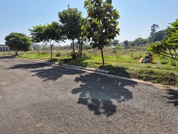 Plot Area in  Plot at Altus Prime, North Mullanpur – for Sale