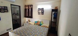 3 BHK Apartment For Rent in Apex Athena, Sector 75