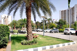 3 BHK Apartment – Exterior View View at RPS Auria, Sector 88 - for Sale