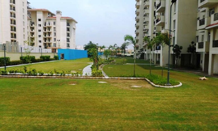 Garden, emaar-emerald-estate 3 Bedroom 1395 Sq.Ft. Apartment In Sector 65 Gurgaon 9670049
