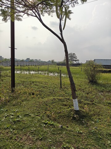 Plot Area in  Plot at Dunda – for Sale