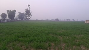  Land For Rent in Sunpura