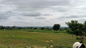  Land For Rent in Nh 7