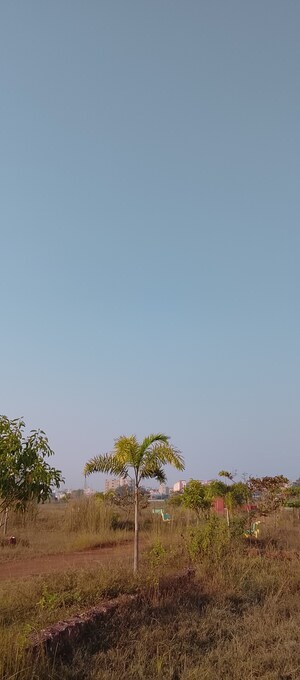  Plot – Garden View at Patrapada - for Sale