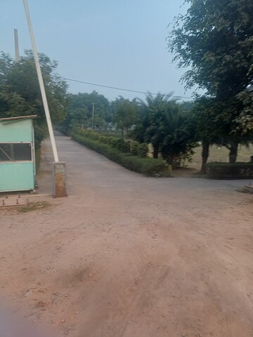  Plot – Exterior View View at Jewar - for Sale