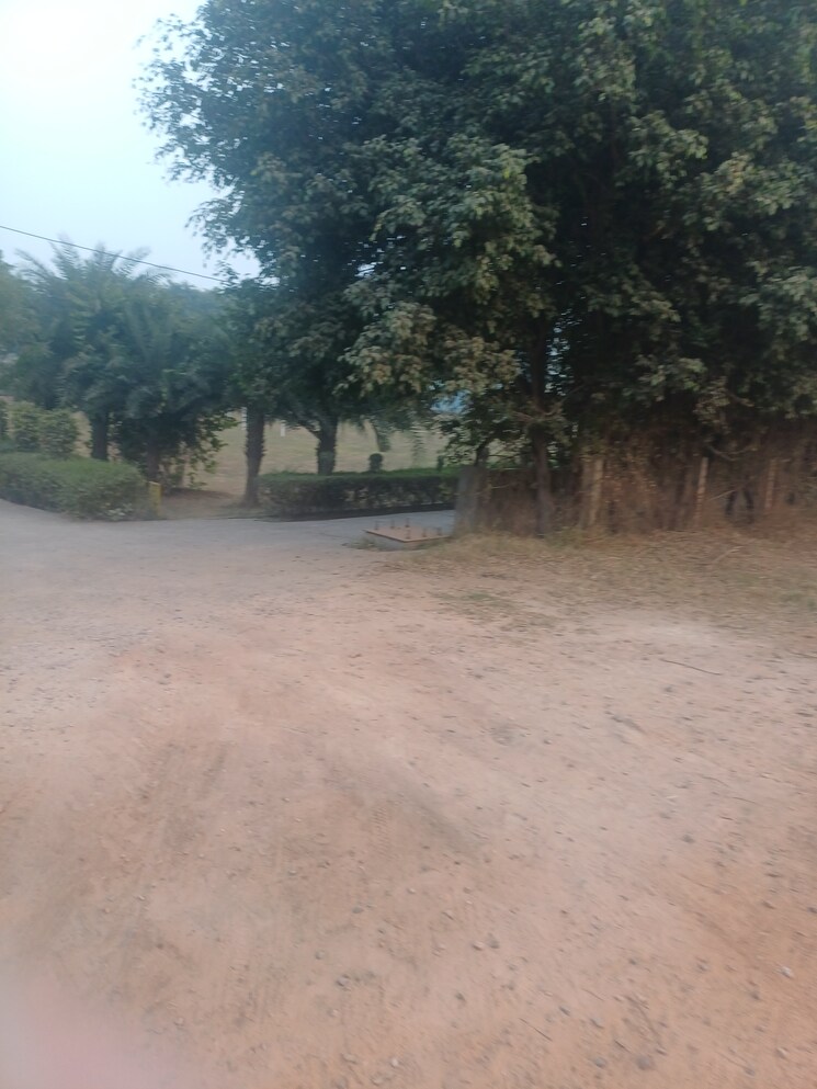 Exterior View, jewar  100 Sq.Yd. Plot In Jewar Greater Noida 9671421