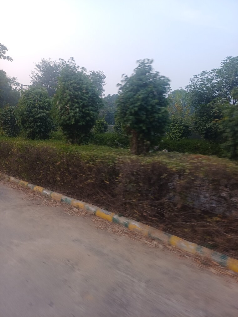 Other, jewar  100 Sq.Yd. Plot In Jewar Greater Noida 9671421