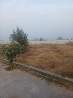 Plot For Sale in Jewar