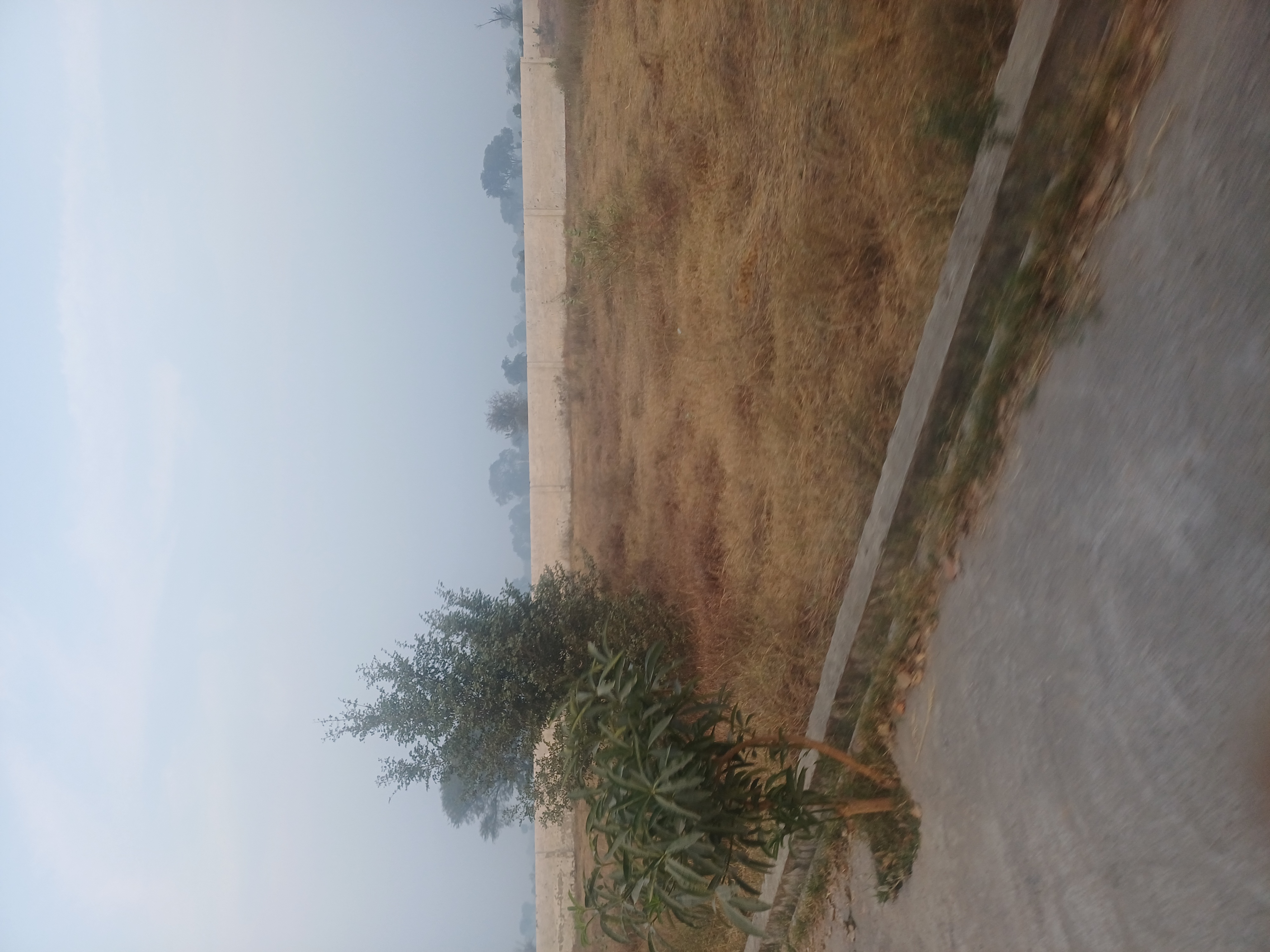 Plot For Sale in Harit City 