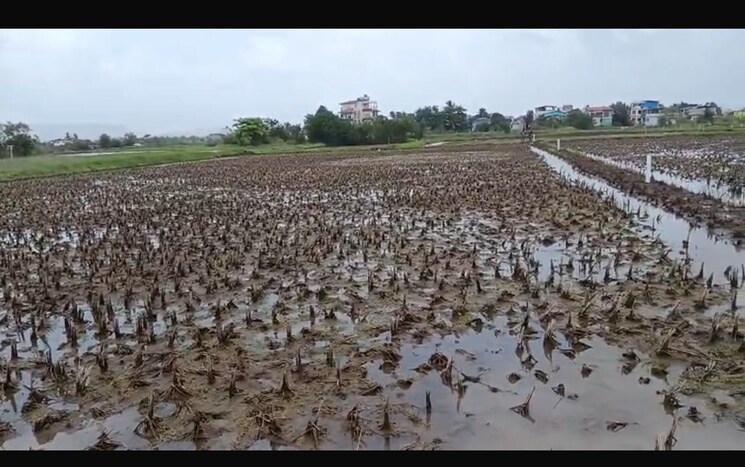 undefined, shreenath-regency  60 Sq.Yd. Plot In Tonk Road Jaipur 9671434