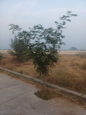  Plot For Sale in Jewar
