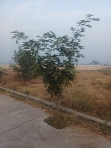  Plot For Sale in Jewar