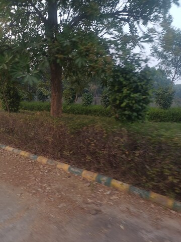   Plot at Jewar – for Sale
