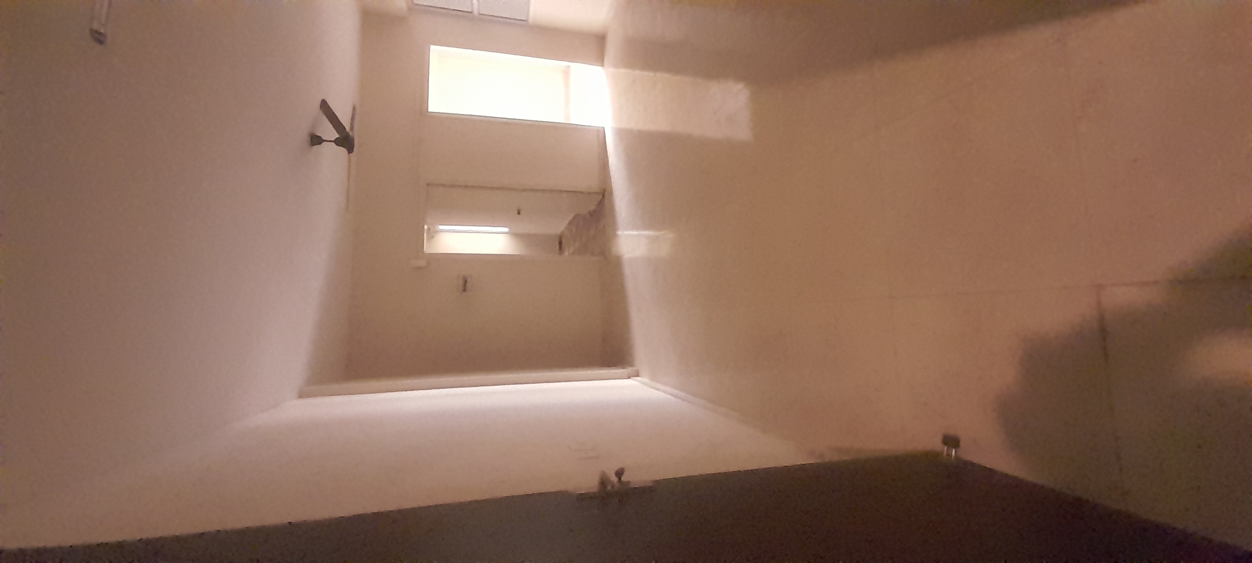 2 BHK Apartment For Rent in MRG Ultimus