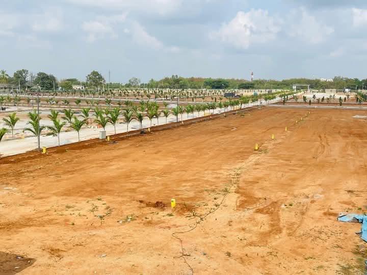 Plot Area in  Plot at Devanahalli – for Sale