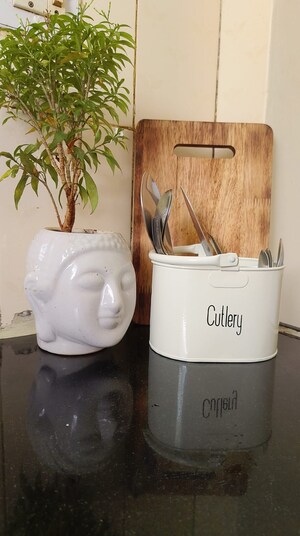 Furnished Amenities in 1 BHK Apartment at Calangute – for Rent