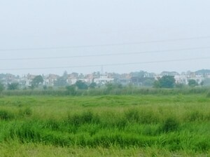 Plot Area in  Plot at Pipli – for Sale