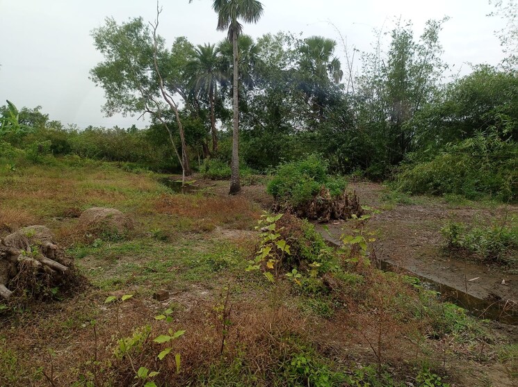 undefined, pipli  1440 Sq.Ft. Plot In Pipli Kolkata 9671703