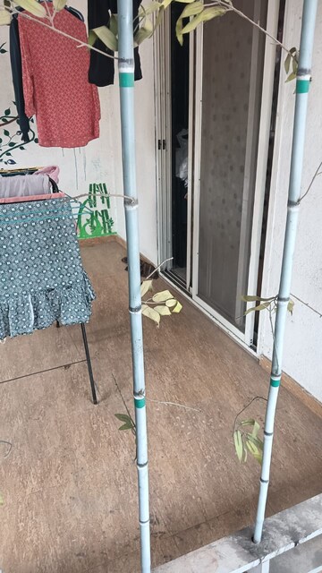 Balcony in 2 BHK Apartment at Skyways Sereno, Lohgaon – for Sale