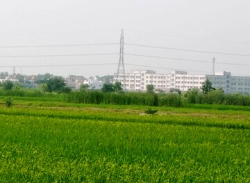 Plot Area in  Plot at Sonarpur – for Sale