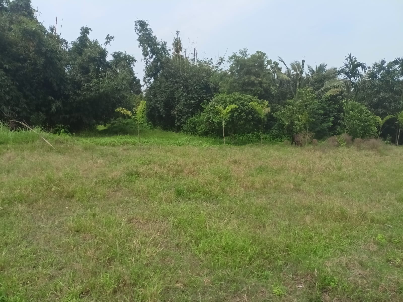 Plot For Sale in Shivolok City