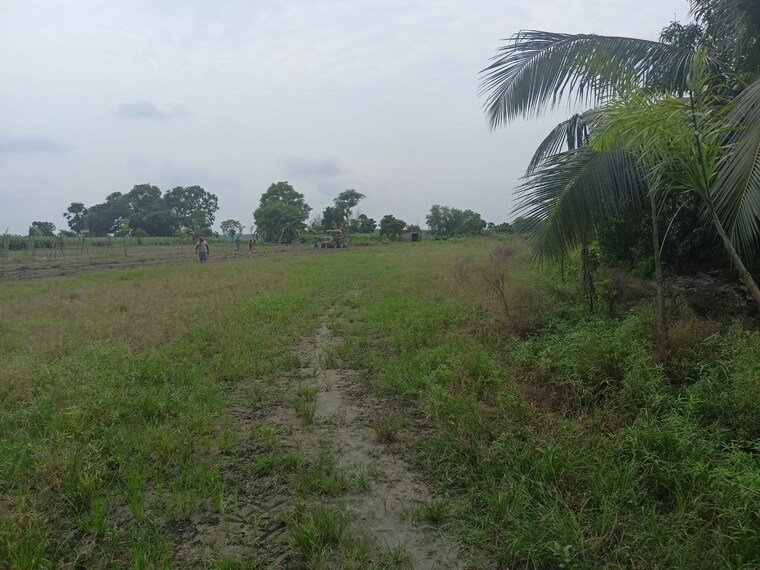 undefined, sonarpur  2880 Sq.Ft. Plot In Sonarpur Kolkata 9671948