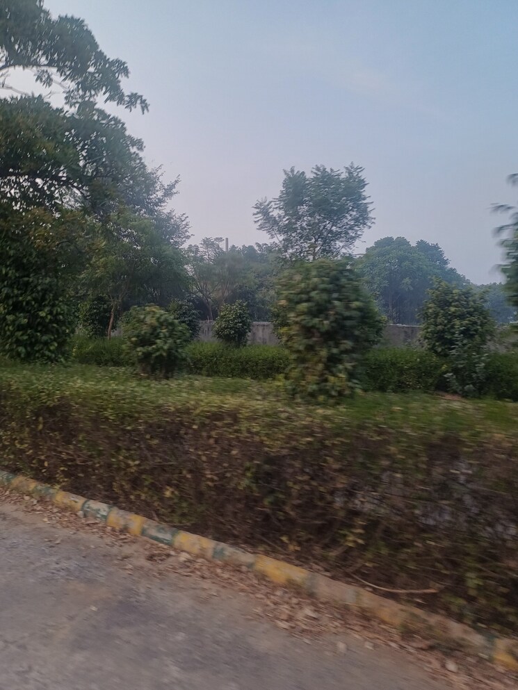 Garden, jewar  115 Sq.Yd. Plot In Jewar Greater Noida 9672096