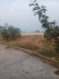 Plot For Sale in Jewar