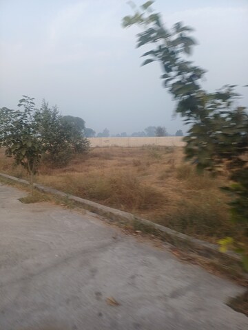  Plot For Sale in Jewar